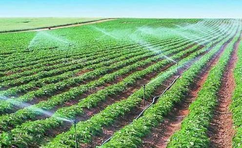 插入女生阴道的视频农田高 效节水灌溉